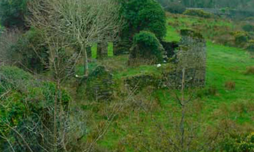 overgrown castle